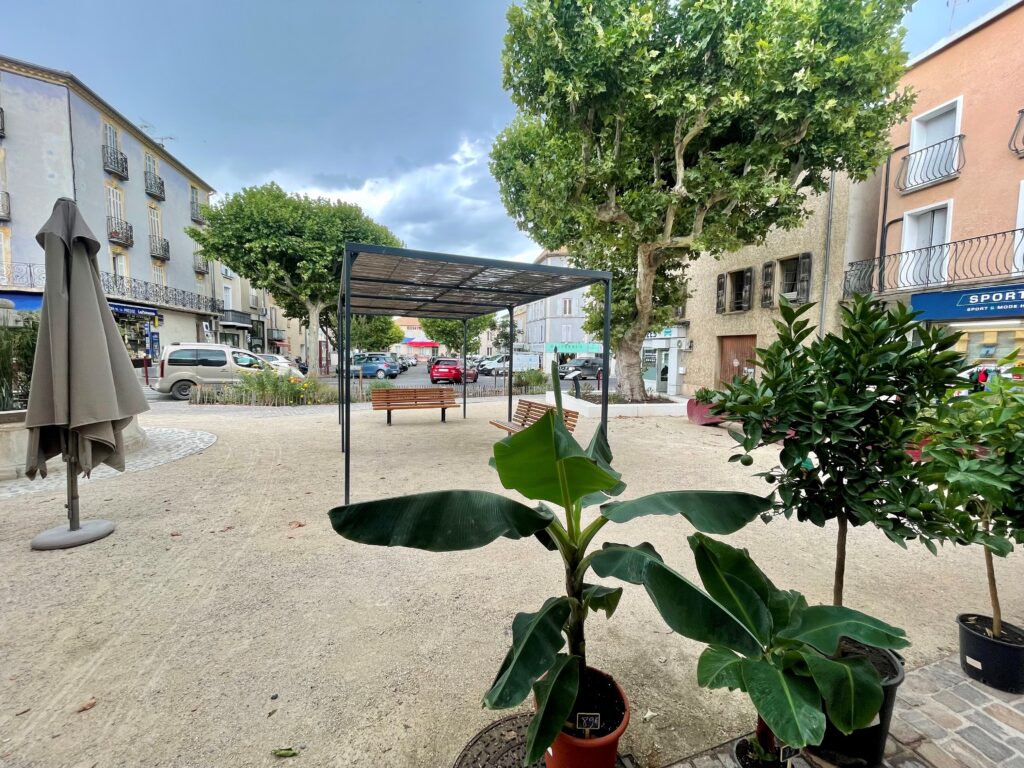 VEGETALISATION PLACE ITARD